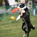 55th Mother Cup 00032.JPG