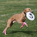 55th Mother Cup 00448.JPG