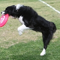 55th Mother Cup 00496.JPG