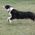 55th Mother Cup 00593.JPG