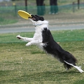 55th Mother Cup 00693.JPG