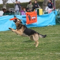 55th Mother Cup 00827.JPG