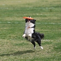 55th Mother Cup 01056.JPG