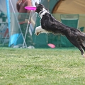 55th Mother Cup 03163.JPG