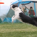 55th Mother Cup 03229.JPG