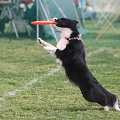 55th Mother Cup 03294.JPG