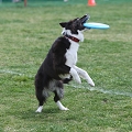 55th Mother Cup 03367.JPG
