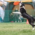 55th Mother Cup 03428.JPG