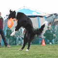 55th Mother Cup 03458.JPG