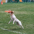 55th Mother Cup 03534.JPG