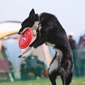 55th Mother Cup 03627.JPG