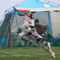 55th Mother Cup 04058.JPG