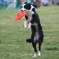 55th Mother Cup 04183.JPG