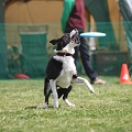 55th Mother Cup 04433.JPG