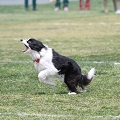55th Mother Cup 08579.JPG