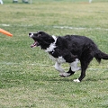 55th Mother Cup 08608.JPG