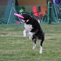 55th Mother Cup 09416.JPG