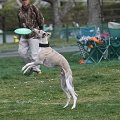 55th Mother Cup 01158.JPG