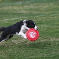 55th Mother Cup 01236.JPG
