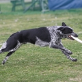 55th Mother Cup 01343.JPG