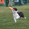 55th Mother Cup 01428.JPG