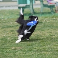 55th Mother Cup 01486.JPG