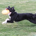 55th Mother Cup 01559.JPG