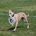 55th Mother Cup 01799.JPG