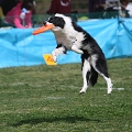 55th Mother Cup 01855.JPG