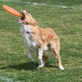 55th Mother Cup 01878.JPG