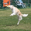 55th Mother Cup 01928.JPG