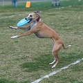 55th Mother Cup 02335.JPG