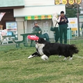 55th Mother Cup 02432.JPG