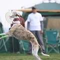 55th Mother Cup 04685.JPG