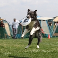 55th Mother Cup 04925.JPG