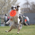 55th Mother Cup 05140.JPG