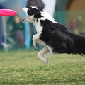 55th Mother Cup 05273.JPG