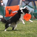 55th Mother Cup 05567.JPG