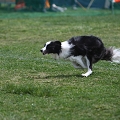 55th Mother Cup 05620.JPG