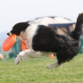 55th Mother Cup 05686.JPG