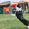 55th Mother Cup 05703.JPG