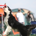 55th Mother Cup 05734.JPG