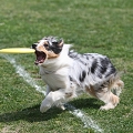 55th Mother Cup 05793.JPG