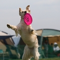 55th Mother Cup 05943.JPG