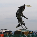55th Mother Cup 06058.JPG