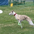 55th Mother Cup 02458.JPG