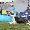 55th Mother Cup 07878.JPG