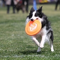 55th Mother Cup 07977.JPG