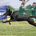 55th Mother Cup 08016.JPG