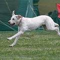 55th Mother Cup 08686.JPG